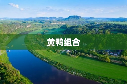 黄鸭组合:让世界更加欢乐的音乐力量 黄鸭组合:让世界更加欢乐的音乐力量