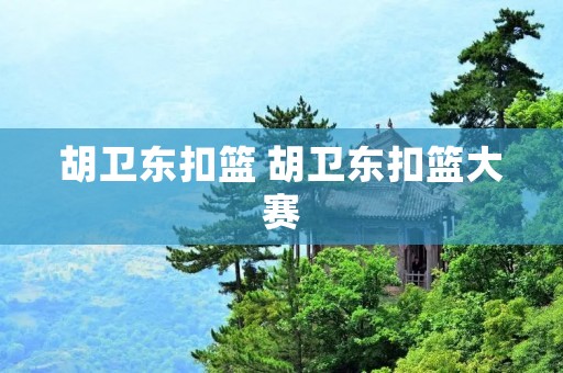 胡卫东扣篮 胡卫东扣篮大赛
