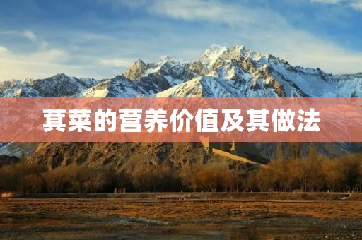 萁菜的营养价值及其做法 萁菜的营养价值及其做法