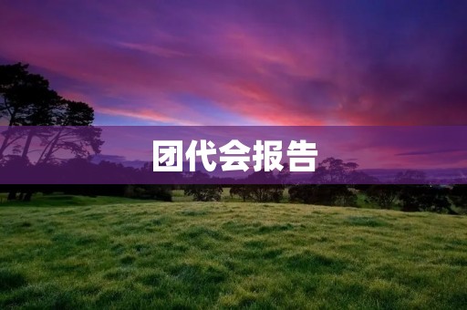 团代会报告:奋斗为青春添彩