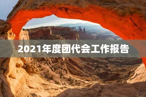 2021年度团代会工作报告