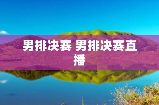 男排决赛 男排决赛直播