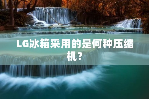 LG冰箱采用的是何种压缩机? LG冰箱采用的是何种压缩机?