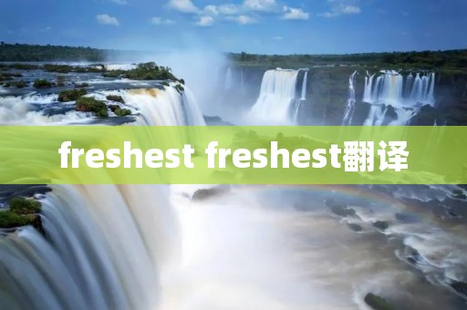 freshest freshest翻译