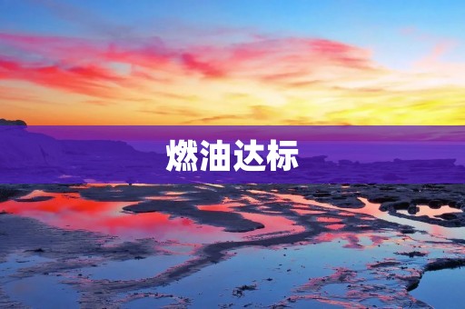燃油达标:保护环境,促进可持续发展 燃油达标:保护环境,促进可持续发展