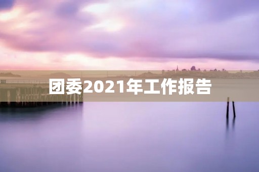 团委2021年工作报告