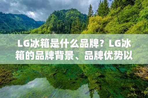 LG冰箱是什么品牌？LG冰箱的品牌背景、品牌优势以及产品特点