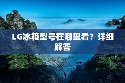 LG冰箱型号在哪里看?详细解答 LG冰箱型号在哪里看?详细解答