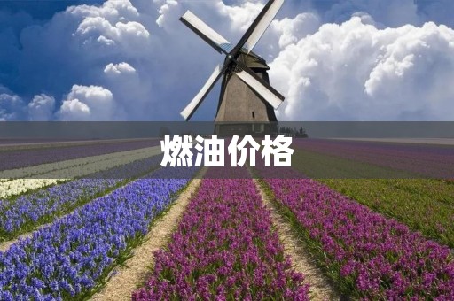 燃油价格:为什么涨了,如何应对? 燃油价格:为什么涨了,如何应对?