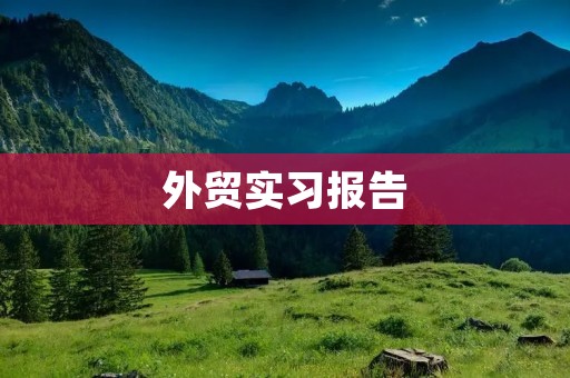 外贸实习报告:在跨国电商公司的实习经历
