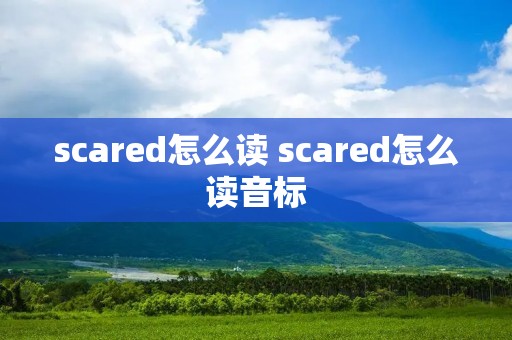 scared怎么读 scared怎么读音标