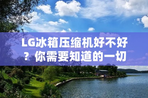 LG冰箱压缩机好不好?你需要知道的一切 LG冰箱压缩机好不好?你需要知道的一切