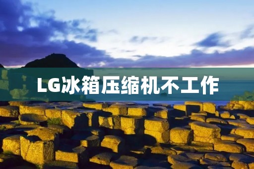 LG冰箱压缩机不工作:原因与维修 LG冰箱压缩机不工作:原因与维修
