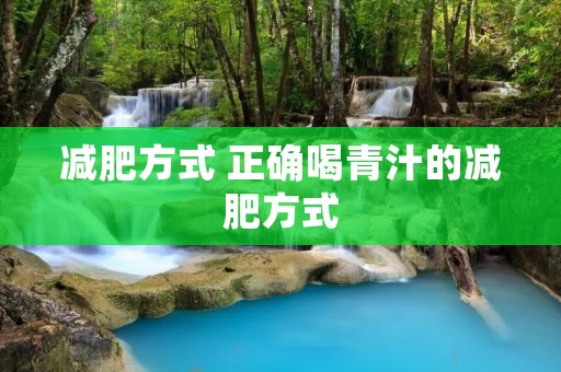 减肥方式 正确喝青汁的减肥方式