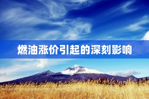 燃油涨价引起的深刻影响