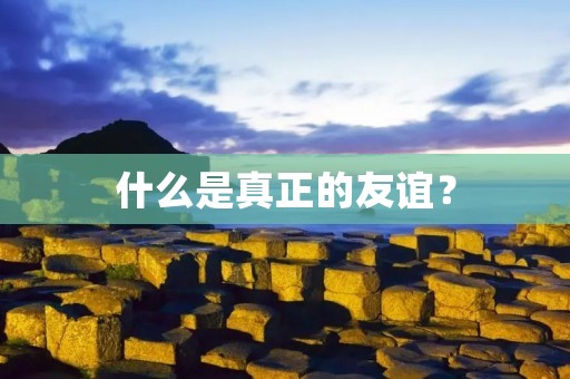 什么是真正的友谊？