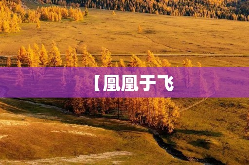 【凰凰于飞：探寻人类的飞行梦想】