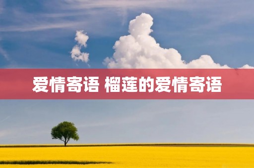 爱情寄语 榴莲的爱情寄语