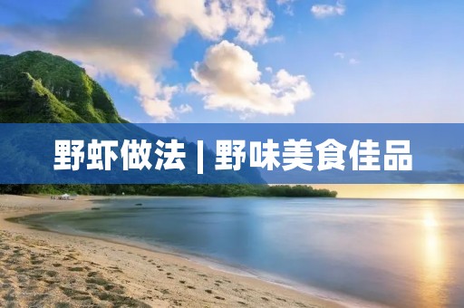 野虾做法 | 野味美食佳品 野虾做法 | 野味美食佳品