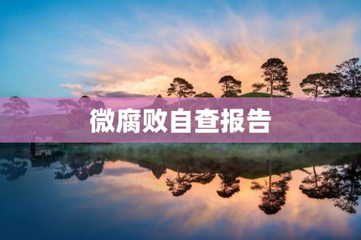微腐败自查报告:从细节中发现问题