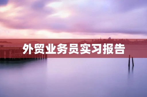 外贸业务员实习报告