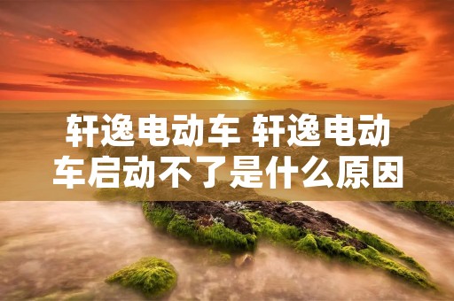 轩逸电动车 轩逸电动车启动不了是什么原因