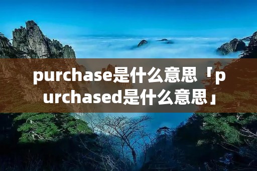 purchase是什么意思「purchased是什么意思」 purchase是什么意思「purchased是什么意思」