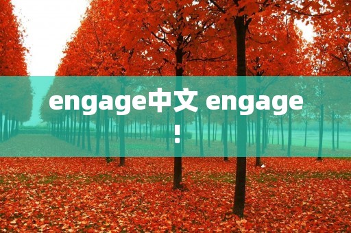 engage中文 engage!