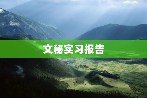 文秘实习报告:在公司文化中的角色
