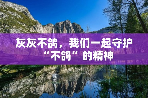 灰灰不鸽,我们一起守护“不鸽”的精神 灰灰不鸽,我们一起守护“不鸽”的精神