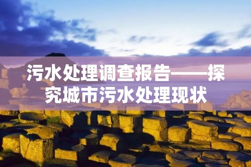 污水处理调查报告——探究城市污水处理现状