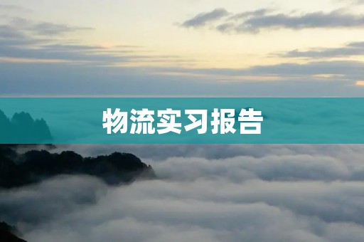物流实习报告:深度参与物流管理