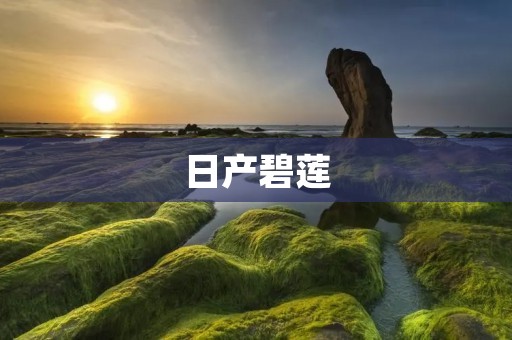 日产碧莲：一款时尚、环保的新能源车