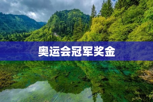 奥运会冠军奖金：不仅仅是荣誉，更是一份实实在在的回报