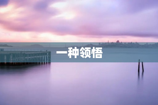一种领悟:如何从困境中找到出路 一种领悟:如何从困境中找到出路