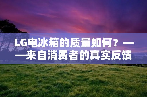 LG电冰箱的质量如何?——来自消费者的真实反馈 LG电冰箱的质量如何?——来自消费者的真实反馈