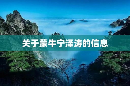 关于蒙牛宁泽涛的信息