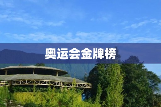 奥运会金牌榜：中国能否继续领跑？