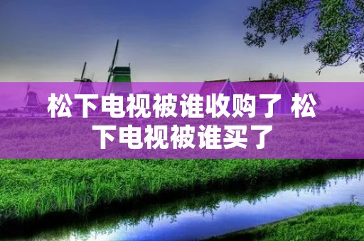 松下电视被谁收购了 松下电视被谁买了