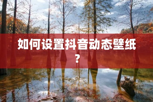 如何设置抖音动态壁纸？