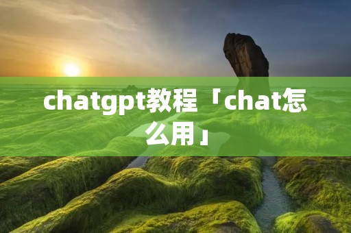 chatgpt教程「chat怎么用」