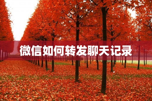 微信如何转发聊天记录：详解微信转发聊天记录的方法