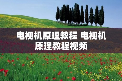电视机原理教程 电视机原理教程视频 电视机原理教程 电视机原理教程视频