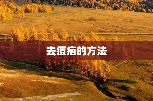 去痘疤的方法:从根源消除痘疤 去痘疤的方法:从根源消除痘疤