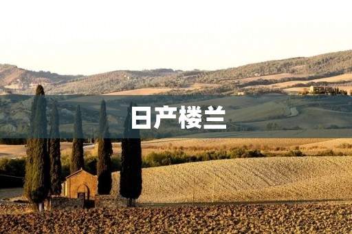 日产楼兰:越野SUV的不二之选 日产楼兰:越野SUV的不二之选