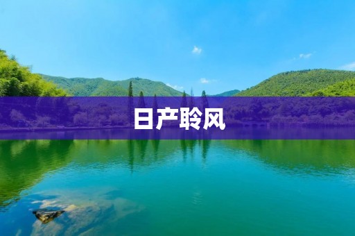 日产聆风:做出你的选择 日产聆风:做出你的选择