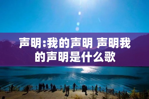 声明:我的声明 声明我的声明是什么歌