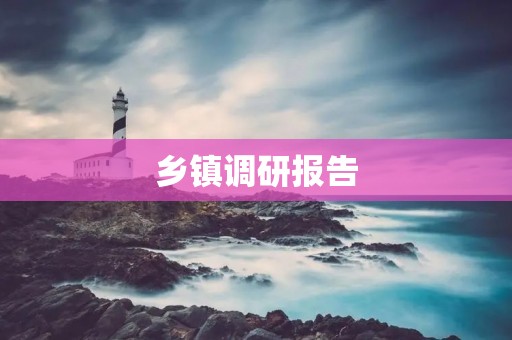 乡镇调研报告:深入了解基层治理现状