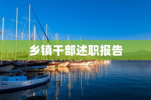 乡镇干部述职报告:加强基层党建工作的思考与实践