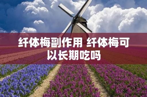 纤体梅副作用 纤体梅可以长期吃吗